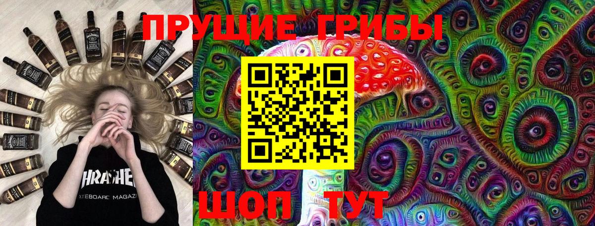 Псилоцибиновые грибы Cubensis Ивантеевка