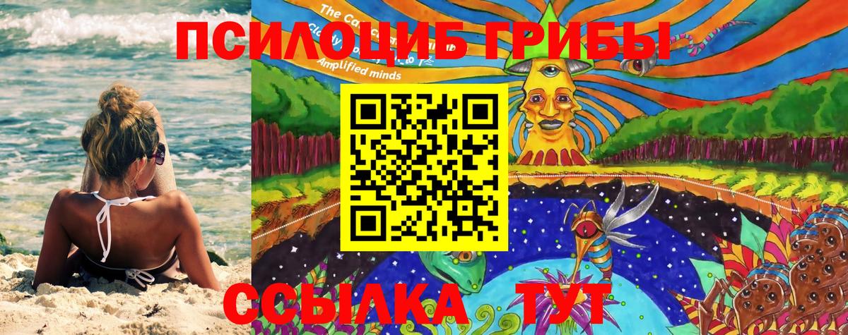 Псилоцибиновые грибы GOLDEN TEACHER  купить   Ивантеевка  Вход с VPN  Псилоцибиновые грибы Psilocybine cubensis 